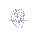 Purple line drawing of a heart with an EKG line without background